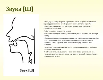 Постановка шипящих звуков: способы и приемы постановки шипящих звуков у  детей. Блог Лого-Эксперт