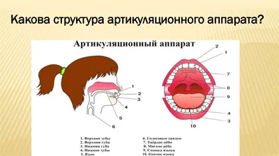 Дикция и артикуляция. | Надежда Львова | Дзен