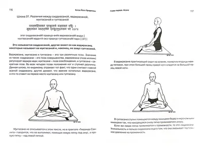 Сложные асаны - как научиться делать самые сложные йоговские позы для  продвинутых - Студия йоги Чакра