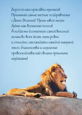 День рождения львенка Аслана в Хабаровске 7 апреля 2019 в Приамурский