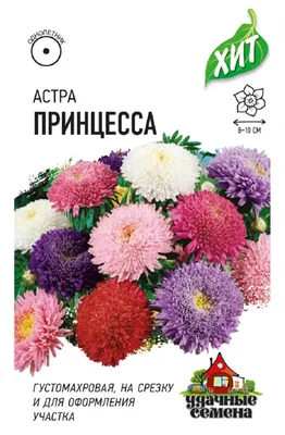 Астры однолетние Урожай удачи Цветы1 - купить по выгодным ценам в  интернет-магазине OZON (702358673)