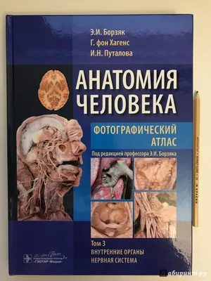 Анатомия человека : атлас : в 3 т. Т. 2. Спланхнология Колесников Л.Л.  9785970472040