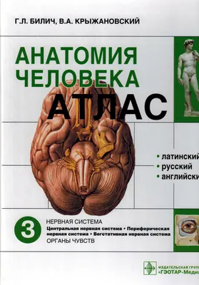 Самусев Р. П.: Наглядная анатомия человека. Подробный атлас с  иллюстрациями: купить книгу по выгодной цене в интернет-магазине Marwin |  Алматы