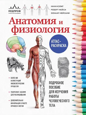 Анатомия человека. Атлас. Учебное пособие. Том 2. Внутренние органы, ,  ГЭОТАР-Медиа купить книгу 978-5-9704-5775-7 – Лавка Бабуин, Киев, Украина