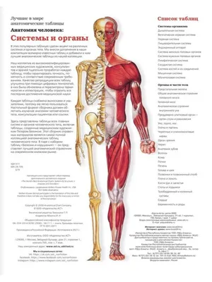 Большой атлас анатомии человека, Самусев Рудольф Павлович . Медицина и  здоровье , АСТ , 9785171127930 2022г. 1085,00р.