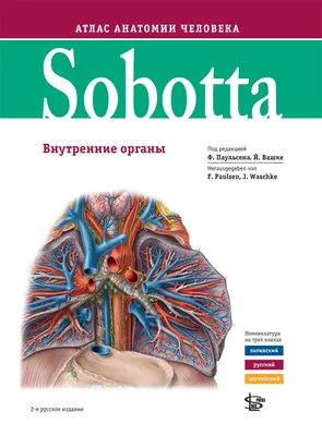 Книга Анатомия и физиология. Атлас-раскраска (Мейси Р., МЕДпроф, ISBN  978-5-04-185725-7) - купить в магазине Чакона