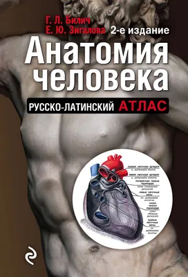 Анатомия человека: атлас. Учебное пособие. Том 3. Нервная система — купить  в интернет-магазине по низкой цене на Яндекс Маркете