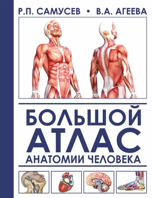 Атлас анатомии человека с дополненной реальностью. Спектор А.А.»: купить в  книжном магазине «День». Телефон +7 (499) 350-17-79
