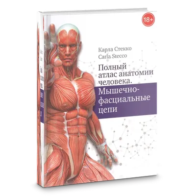 Большой атлас анатомии человека, Самусев Рудольф Павлович . Медицина и  здоровье , АСТ , 9785171127930 2022г. 1085,00р.