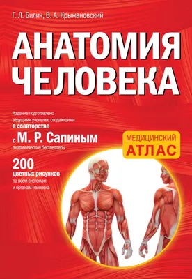 Атлас анатомии человека с дополненной реальностью – Книжный  интернет-магазин Kniga.lv Polaris