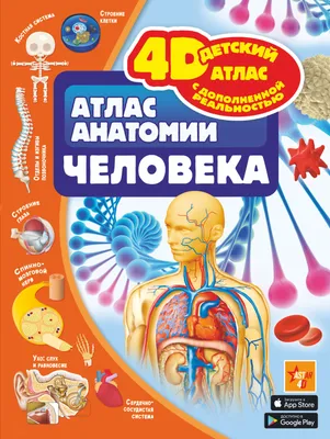 Карла Стекко «Полный атлас анатомии человека. Мышечно-фасциальные цепи» ,  перев.с англ. А.Антваер.- Москва изд. АСТ, 2022 – Институт клинической  прикладной кинезиологии