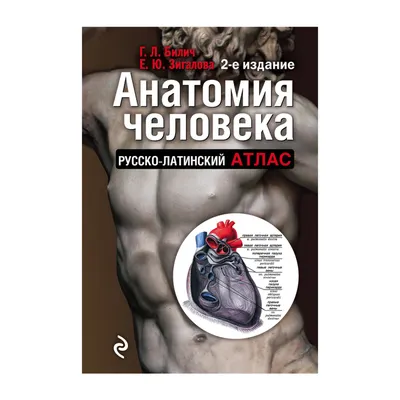 ЭНЦИКЛОПЕДИЯ МЕДИЦИНЫ * АНАТОМИЧЕСКИМ АТЛАС * ЛИСТ 108 - Тело человека №98,  страница 15