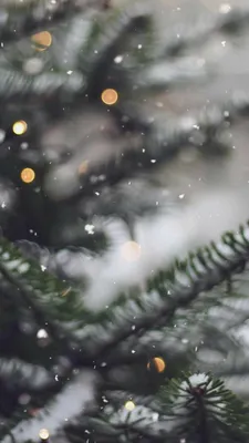Новогодние фотографии/картинки | Зимние картинки, Рождественские обои,  Рождественские пейзажи