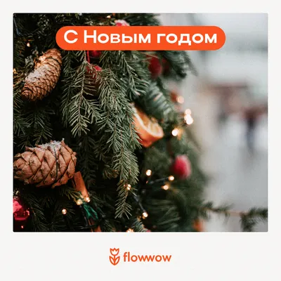 Как сделать красивые новогодние снимки? Советы кировского фотографа. |  Источник online