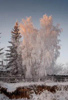 Атмосферные фото зимней Чурапчи