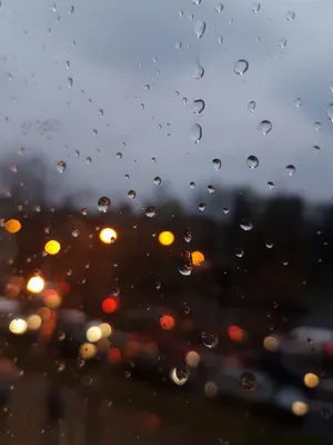 картинки : воды, дождь, Морось, падение, небо, Атмосферное явление,  атмосферные осадки, Влага, атмосфера, Геологическое явление, облако,  Размышления, стакан, ветровое стекло, окно, Автомобильная оконная часть,  Метеорологическое явление, жидкость, вечер ...