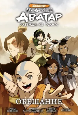 Что стало с героями Avatar: The Last Airbender после мультсериала? |  Книжный сериаломан | Дзен