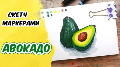 Как нарисовать Авокадо, просто и мило. Просто рисуем милое авокадо. Рисунки для  срисовки. | РИСУНКИ ЮЛЬКИ | Дзен