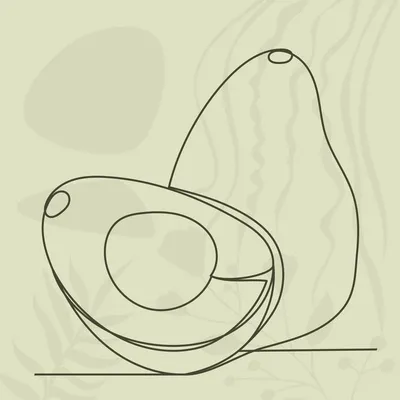 Авокадо Векторный Рисунок — стоковая векторная графика и другие изображения  на тему Авокадо - Авокадо, Без людей, Белый - iStock