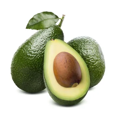 Растение авокадо - «Авокадо из косточки. Два способа: на воде и в земле.  Как растет лучше?» | отзывы