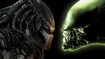 AVP: Alien vs. Predator (2004) Screenplay - Script Slug