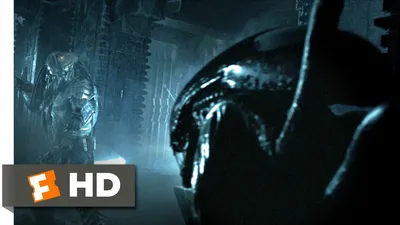 Movie AVP: Alien vs. Predator Wallpaper