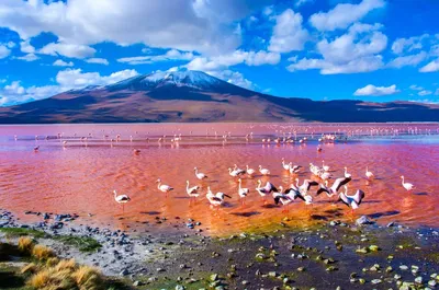 Самые красивые и необычные озера мира. 25 фантастических фото!
