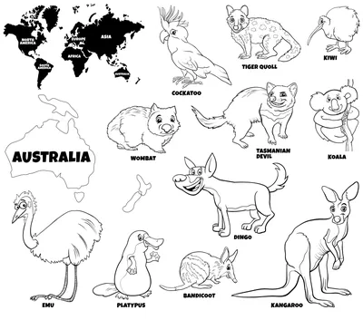 15 самых жутких созданий Австралии (16 фото) | Пикабу