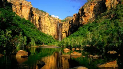 Национальный парки Австралии - рай флоры и фауны