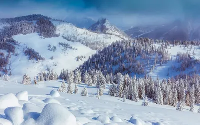 Австрия в январе: отдых и погода в Австрии