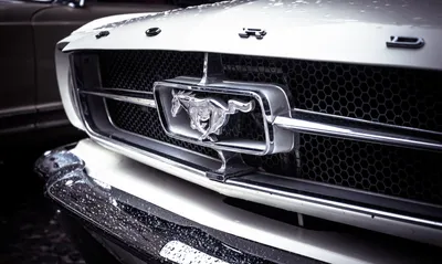 Купить новый Купе Ford Mustang Shelby® GT500 2020 5.2 V8 Supercharged  Бензин 760 л.с. в наличии и на заказ в Москве.