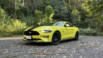 Кроссовер Ford Mustang: каким он может быть - КОЛЕСА.ру – автомобильный  журнал