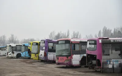 Первая партия новых зелёных автобусов прибыла в Южно-Сахалинск - Новости  Сахалинской области - astv.ru