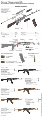 Автомат Калашникова 5.45мм АК-12 6П70 и 7.62мм АК-15 6П71 (Россия) - Modern  Firearms