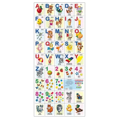 Плакат Алфея разрезной Английская азбука и счет (940х400 мм) – выгодная  цена – купить товар Плакат Алфея разрезной Английская азбука и счет  (940х400 мм) в интернет-магазине Комус