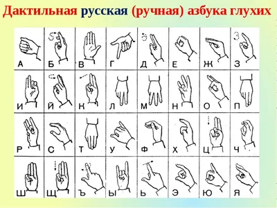 язык глухонемых. набор фотографий рук и пальцев с языком жестов на белом  фоне. выражение Asl Стоковое Изображение - изображение насчитывающей  американская, алфавитное: 216101709
