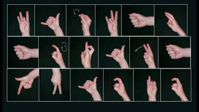 Векторный Язык Глухонемых Рук Американский Язык Знаков Asl Alphabet Art  Векторное изображение ©romanchik.ruslan@gmail.com 209132632
