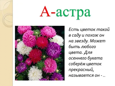 Аниме картинка азбука цветов 1553x2130 491966 ru
