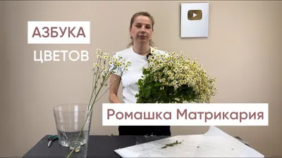 Манга Азбука Цветов 002 глава читать на русском