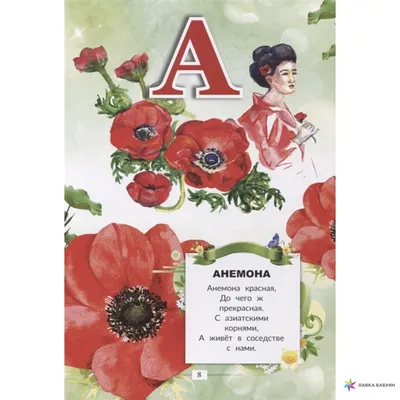 Азбука цветов, салон, Советская, 28, Липецк — 2ГИС