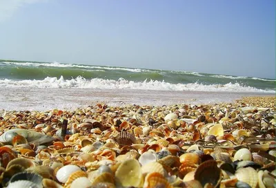 8 интересных фактов об Азовском море - Колоритное Приазовье