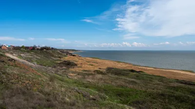 Катастрофический рост численности медуз в Азовском море: в чем причина -  РИА Новости Крым, 23.10.2023