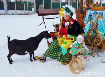 Бабки-ежки» — создано в Шедевруме