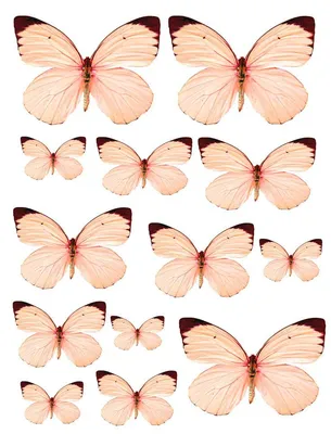 Вафельная картинка \"Бабочки Персиковые\"