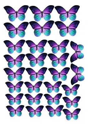 Съедобная картинка №294. Бабочки синие | sweetmarketufa.ru