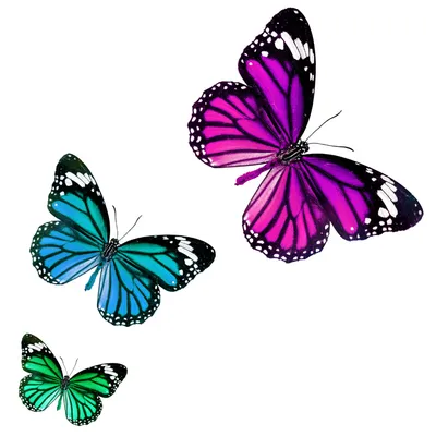 Съедобная картинка №266. Бабочки фиолетовые | sweetmarketufa.ru