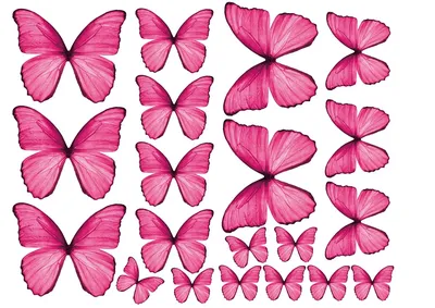 бабочки синие | Бумажные бабочки, Шаблон бабочка, Памятный альбом для друга