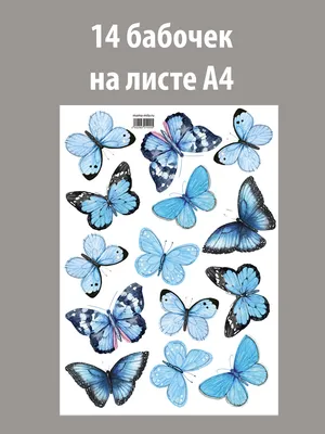 Купить Картинка для печати Бабочки Съедобная печать №5 за 200 руб. в  интернет-магазине Тортоделфео
