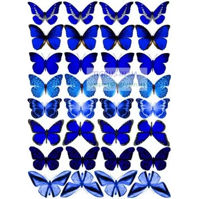 Файл STL бабочки настенное искусство бабочки настенный декор 2d искусство  животное 🖼️・Дизайн для загрузки и 3D-печати・Cults