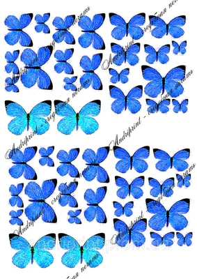 Бумага для струйной печати Лазерная печать Letter Бумага для печати и  письма, Фиолетовая голубая бабочка, фиолетовый, синий, кисть Бабочка с  ногами png | PNGWing